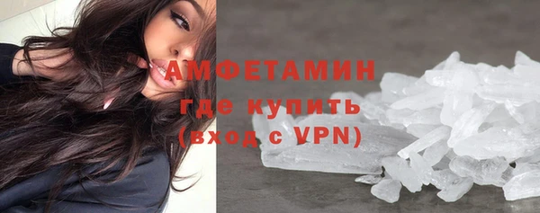 индика Кострома