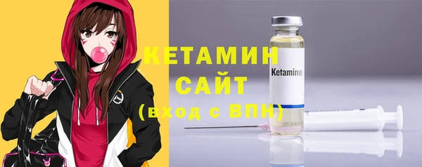 индика Кострома