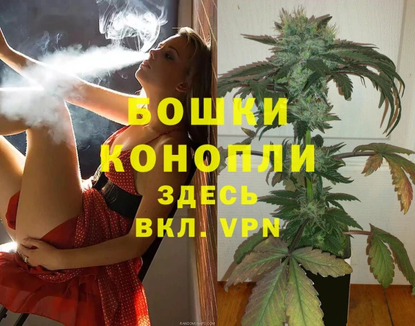 дурь Тында