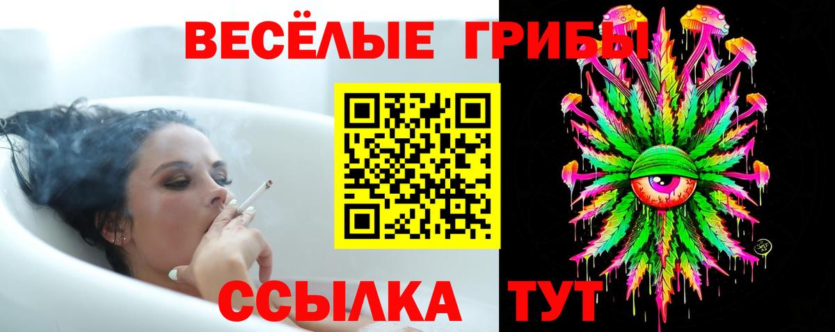 Псилоцибиновые грибы Cubensis  где найти наркотики  Галлюциногенные грибы Magic Shrooms  Ревда  Вход с VPN 